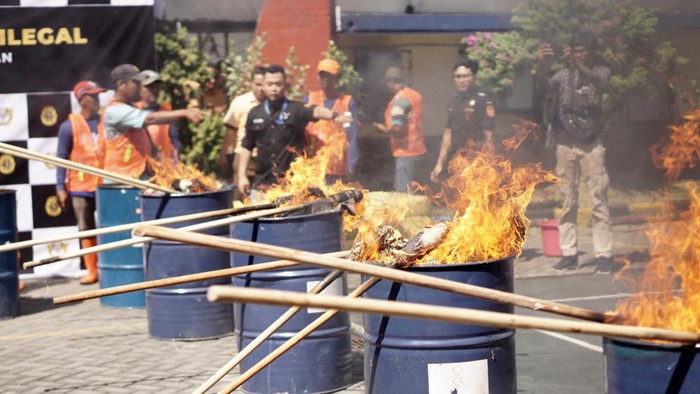 Bea Cukai Tanjung Perak gelar pemusnahan pakaian impor bekas  (ballpress) ilegal sebanyak lebih dari 4 ton, pada Kamis (18/07) di Kantor Bea Cukai Tanjung Perak, Surabaya.