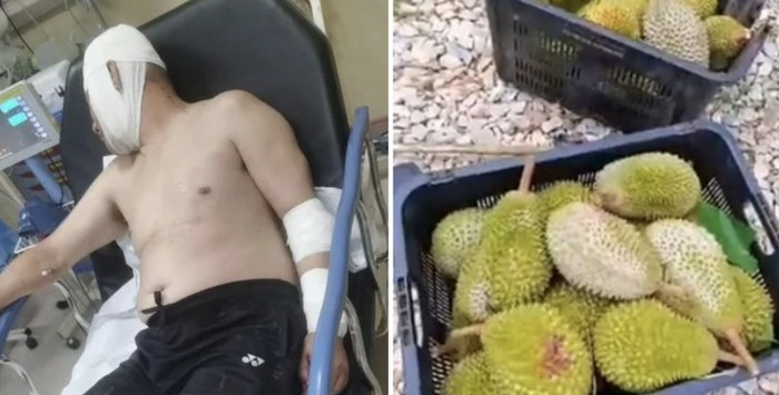 Parah! 12 Pencuri Serang Petani dan Rampas Durian Rp 10 Juta