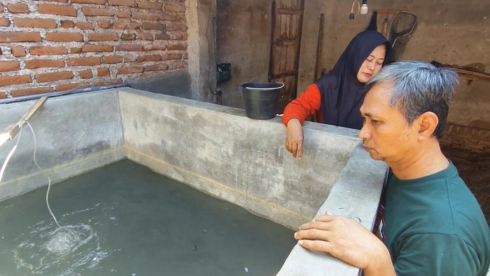Peternak lele di Kota Pasuruan yang trauma usai kehilangan ribuan ekor ternak mati gegara bediding.