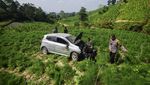 Sopir Tak Kuasai Medan, Ayla Terperosok ke Ladang di Boyolali