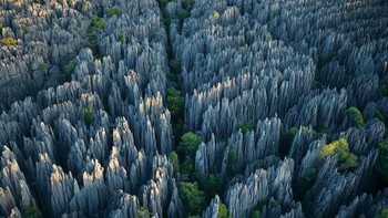 Shilin terletak di Daerah Otonomi Yi Provinsi Yunnan, Cina, dan merupakan salah satu tempat wisata utama di Provinsi Yunnan. Hutan batu sebagian besar terdiri dari batu kapur, meliputi area seluas 400 kilometer persegi. Ada semua jenis hutan batu besar dan kecil, dan ada banyak tempat indah lainnya. Dalam kata-kata penduduk setempat, Jika Anda datang ke Yunnan tanpa mengunjungi hutan batu, Anda belum pernah ke Yunnan. Foto: Sina Mobile