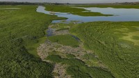 Badan lingkungan hidup negara tersebut menuduh penyebab kematian ribuan ikan itu adalah pembuangan limbah industri secara tidak teratur ke sungai.