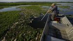 Ribuan Ikan Mati di Sungai Brasil Imbas Tercemar Limbah