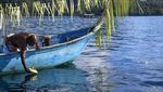 Usaha Melindungi Terumbu Karang di Raja Ampat