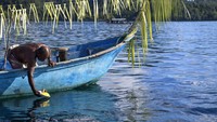 Kegiatan peluncuran sistem tambat labuh kapal (Mooring) pertama kali di Indonesia yang diperuntukan bagi kapal dengan ukuran tidak lebih dari 700 gros ton (GT) itu merupakan kolaborasi antara Pemprov Papua Barat Daya, Pemkab Raja Ampat dan Yayasan Konservasi Indonesia.  