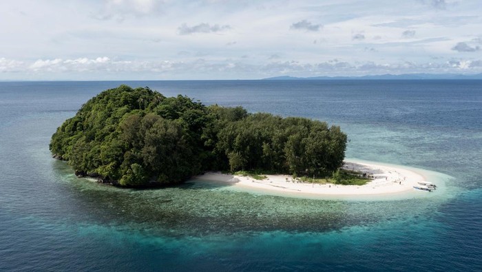 Usaha Melindungi Terumbu Karang di Raja Ampat Pegiat konservasi mengamati kondisi terumbu karang di perairan Friwen, Raja Ampat, Papua Barat Daya