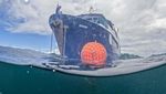 Usaha Melindungi Terumbu Karang di Raja Ampat