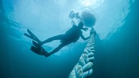 Untuk melindungi 1.700 spesies terumbu karang di kawasan konservasi Raja Ampat seluas 1,9 juta hektare, sedikitnya membutuhkan 107 unit tambat labuh, sehingga kelestarian alam Raja Ampat yang telah ditetapkan oleh UNESCO sebagai geopark dunia dapat terjaga.  