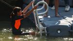 Walikota Paris Berenang di Sungai Seine, Buktikan Airnya Aman untuk Olimpiade