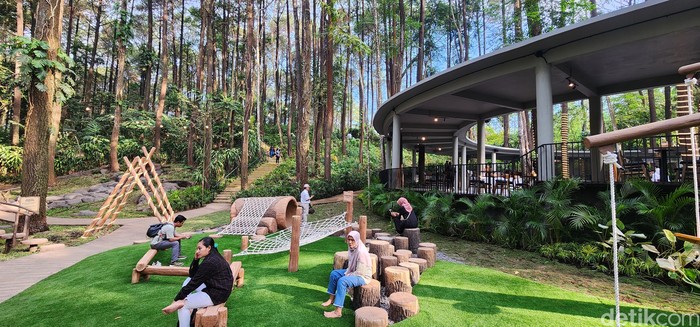 Enchanting Forest di Taman Safari Prigen
