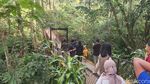 Susur Hutan Ramah Keluarga di Kaki Gunung Arjuno