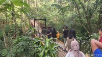 Jembatan gantung di Enchanting Forest. Bangunan ini sangat bergoyang saat hanya dilewati enam orang.