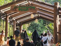 Pentingnya Crowd Management di Objek Wisata Saat Libur Lebaran