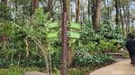 Susur Hutan Ramah Keluarga di Kaki Gunung Arjuno