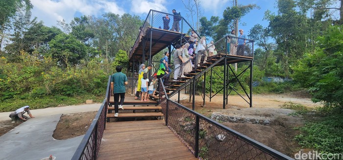 Enchanting Forest di Taman Safari Prigen