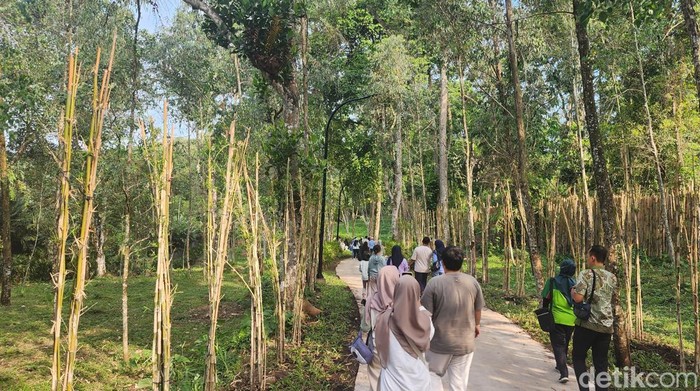 Enchanting Forest di Taman Safari Prigen