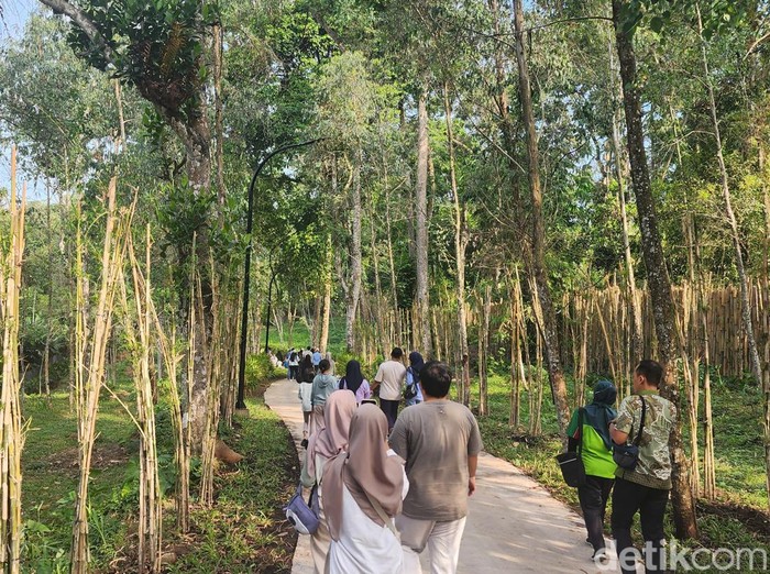 Enchanting Forest di Taman Safari Prigen