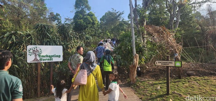Enchanting Forest di Taman Safari Prigen