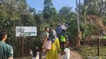Susur Hutan Ramah Keluarga di Kaki Gunung Arjuno
