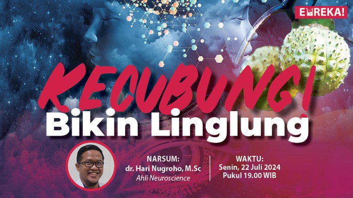 Eureka! Kecubung Bikin Linglung