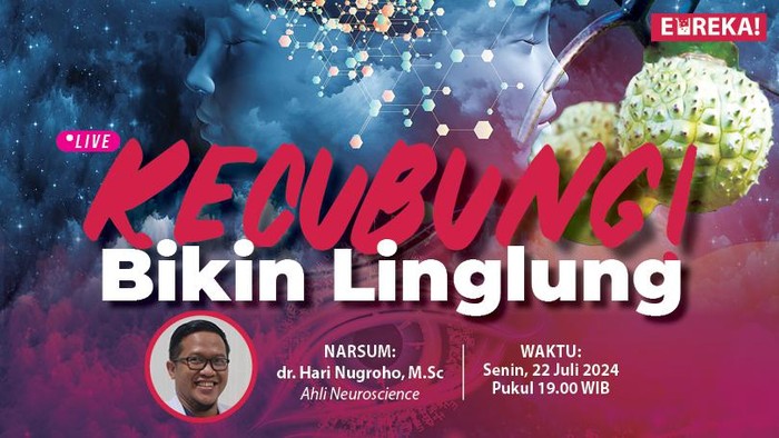 Eureka! Kecubung Bikin Linglung