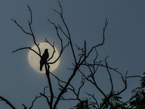 Makna dan Filosofi Tidur di Lantai pada Malam 1 Suro