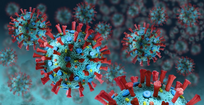  Spike Glycoproteins, Hemagglutinin-esterase, E- and M-Proteins and Envelope.