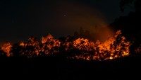 Menurut data Badan Penanggulangan Bencana Daerah (BPBD) Karo, api yang membakar sekitar 20 hektare hutan dan lahan di lereng gunung tersebut berasal dari Dusun Simpang Bage dan Nagori Sinar Naga Mariah, Kabupaten Simalungun yang selanjutnya merambat dengan cepat ke wilayah Gunung Sipiso-piso. 