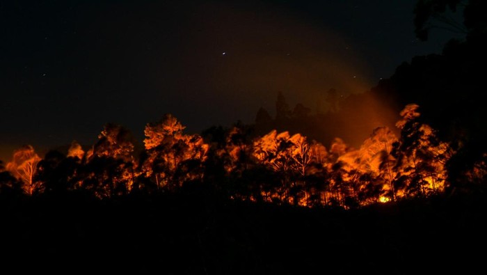 Kebakaran hutan lereng Gunung Sipiso-piso Api membakar hutan dan lahan (karhutla) lereng gunung Sipiso-piso di Merek, Karo, Sumatera Utara, Kamis (18/7/2024) malam. Menurut data Badan Penanggulangan Bencana Daerah (BPBD) Karo, api yang membakar sekitar 20 hektare hutan dan lahan di lereng gunung tersebut berasal dari Dusun Simpang Bage dan Nagori Sinar Naga Mariah, Kabupaten Simalungun yang selanjutnya merambat dengan cepat ke wilayah Gunung Sipiso-piso, sementara hingga Jumat (19/7) dini hari petugas masih mengupayakan pemadaman. ANTARA FOTO/Fransisco Carolio/aww.