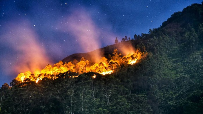 Kebakaran hutan lereng Gunung Sipiso-piso Api membakar hutan dan lahan (karhutla) lereng gunung Sipiso-piso di Merek, Karo, Sumatera Utara, Kamis (18/7/2024) malam. Menurut data Badan Penanggulangan Bencana Daerah (BPBD) Karo, api yang membakar sekitar 20 hektare hutan dan lahan di lereng gunung tersebut berasal dari Dusun Simpang Bage dan Nagori Sinar Naga Mariah, Kabupaten Simalungun yang selanjutnya merambat dengan cepat ke wilayah Gunung Sipiso-piso, sementara hingga Jumat (19/7) dini hari petugas masih mengupayakan pemadaman. ANTARA FOTO/Fransisco Carolio/aww.