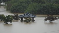 Wilayah utara Provinsi Gyeonggi termasuk Paju menjadi yang paling terdampak.   