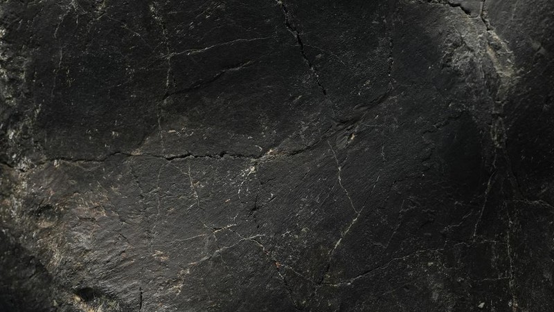 A stegosaurus skeleton is displayed at Sotheby's New York in New York, Wednesday, July 10, 2024. (AP Photo/Pamela Smith)