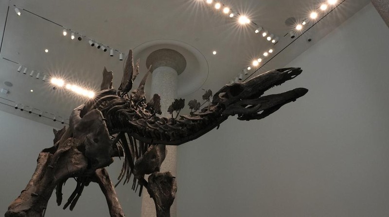 A stegosaurus skeleton is displayed at Sotheby's New York in New York, Wednesday, July 10, 2024. (AP Photo/Pamela Smith)