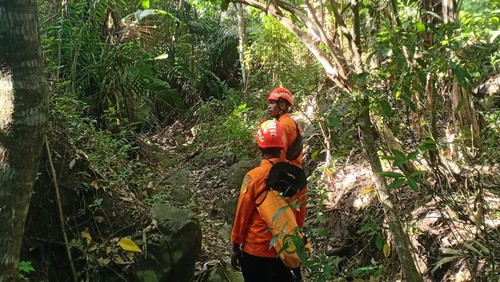 Pencarian nenek yang hilang seusai berkebun, Jumat (19/7/2024).