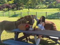 Butuh Healing? Ini 7 Tempat Wisata di Bedugul Bali yang Bikin Pikiran Segar Lagi