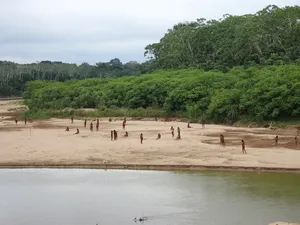 Suku Misterius Hutan Amazon Mendadak Menampakkan Diri, Ada Apa?