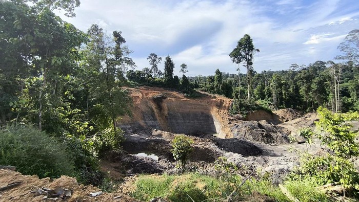 Penemuan tambang ilegal yang pernah ditindak dekat lokasi sekolah hutan Lebanan, Berau.