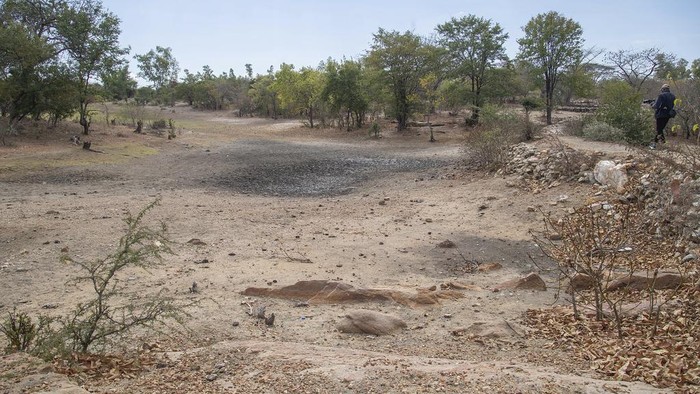 A man walks alongside a dried up stream in Mudzi, Zimbabwe, on July 2, 2024. In Zimbabwe, an El Nino-induced drought is affecting millions of people, and children are most at risk. (AP Photo/Aaron Ufumeli)