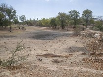 Pakar Ingatkan Dampak Godzilla El Nino: Tanah Retak-Kekeringan Parah