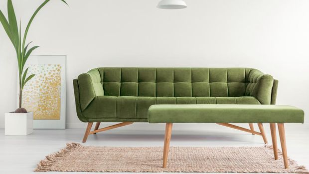 Olive green, stylish settee and an upholstered bench in a bright living room interior with white walls and a plant. Real photo.