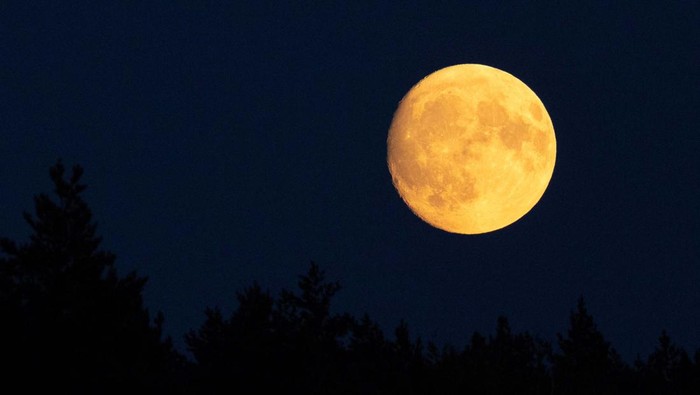 Nearly full moon known as the Buck Moon is seen above a lake near Marksewo, Poland, July 19, 2024. REUTERS/Kacper Pempel