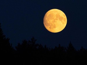 Buck Moon, Purnama Tanduk Rusa yang Bakal Muncul 21 Juli Besok!