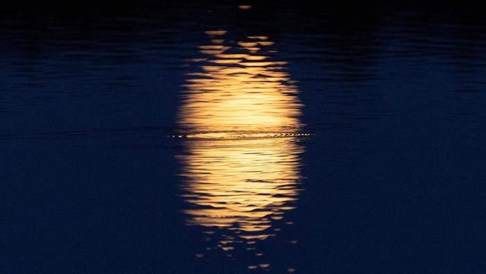 Nearly full moon known as the 