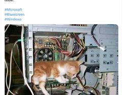 Meme Kocak Hari Blue Screen Windows Sedunia