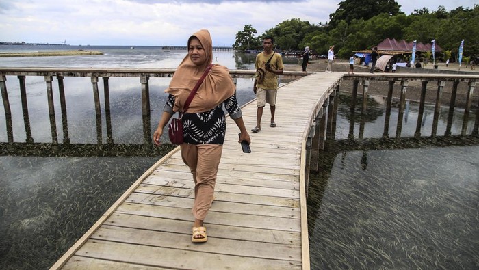 Pengunjung berjalan di atas dermaga saat mengunjungi Desa Wisata Akebay di Pulau Maitara, Tidore Kepulauan, Maluku Utara, Sabtu (20/7/2024). Objek wisata Pulau Maitara merupakan peraih penghargaan sebagai Desa Wisata Terbaik 2023 oleh Kemenparekraf dan saat ini pemda setempat terus melakukan pengembangan pariwisata berkelanjutan di desa tersebut guna menarik kunjungan wisatawan domestik dan mancanegara. ANTARA FOTO/Andri Saputra/tom.