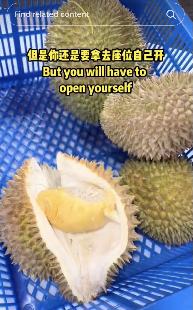 Tawarkan Makan Durian Rp 100 Ribu Sepuasnya, Tempat Ini Jadi Incaran!