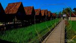 Ini Lembah Desa Pulutan Gunungkidul, Cocok buat Ngadem