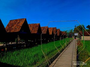Ini Lembah Desa Pulutan Gunungkidul, Cocok buat Ngadem