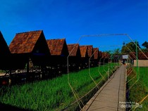 Ini Lembah Desa Pulutan Gunungkidul, Cocok buat Ngadem