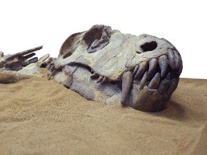 Hujan Lebat Ungkap Fosil Dinosaurus Tertua yang Tersembunyi Jutaan Tahun